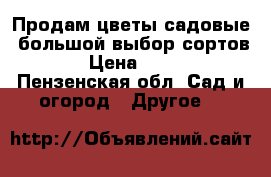 Продам цветы садовые, большой выбор сортов. › Цена ­ 100 - Пензенская обл. Сад и огород » Другое   